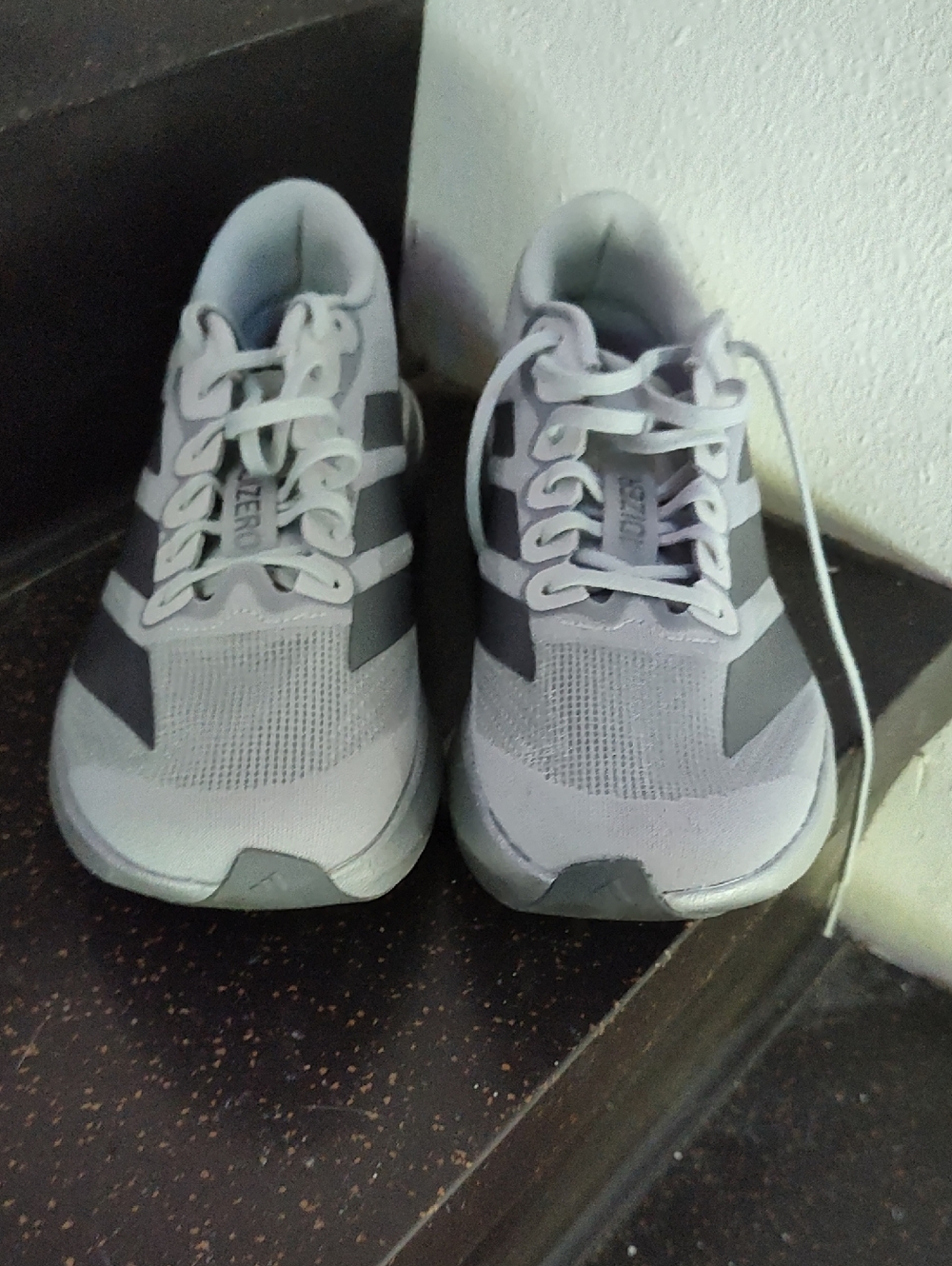 Silver Adidas Adidas Adizero Evo SL Running Shoes